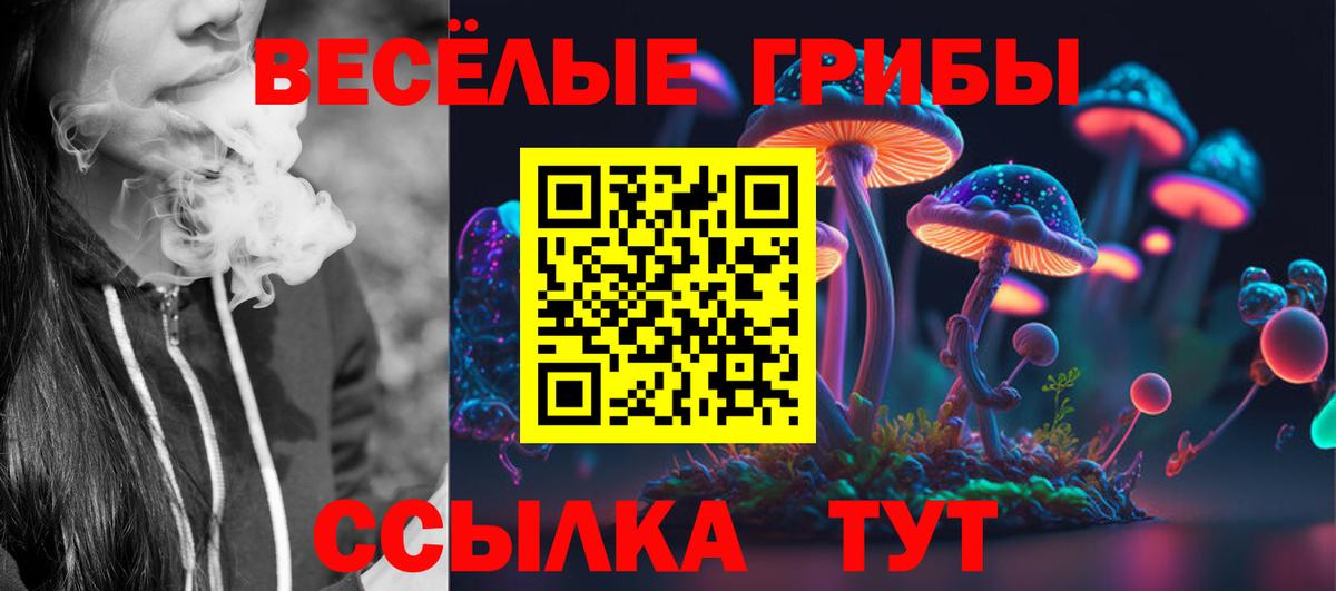 ТГК Великий Устюг
